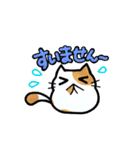 猫たまにカエル（個別スタンプ：9）