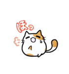 猫たまにカエル（個別スタンプ：10）