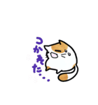 猫たまにカエル（個別スタンプ：12）
