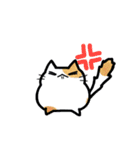 猫たまにカエル（個別スタンプ：14）