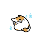 猫たまにカエル（個別スタンプ：15）