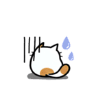猫たまにカエル（個別スタンプ：20）