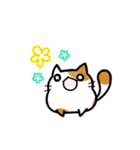 猫たまにカエル（個別スタンプ：21）