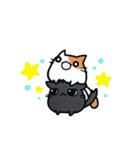 猫たまにカエル（個別スタンプ：24）