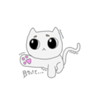 白い可愛い猫だよ（個別スタンプ：6）