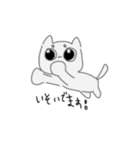 白い可愛い猫だよ（個別スタンプ：13）