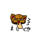 キノコ猫2525（個別スタンプ：12）