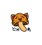 キノコ猫2525（個別スタンプ：34）