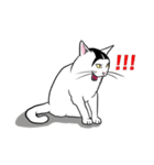エメとメイ①（個別スタンプ：9）