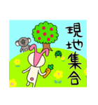 毎日モモ丸4★約束＆時刻（個別スタンプ：9）