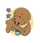 プードルMoney日記（個別スタンプ：1）