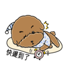 プードルMoney日記（個別スタンプ：6）