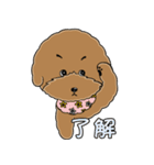 プードルMoney日記（個別スタンプ：8）