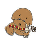 プードルMoney日記（個別スタンプ：10）