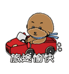 プードルMoney日記（個別スタンプ：12）