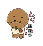 プードルMoney日記（個別スタンプ：14）