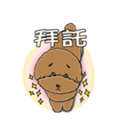 プードルMoney日記（個別スタンプ：16）