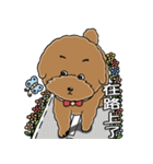 プードルMoney日記（個別スタンプ：19）