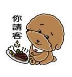 プードルMoney日記（個別スタンプ：21）
