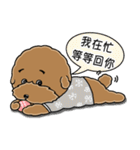 プードルMoney日記（個別スタンプ：24）