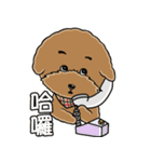 プードルMoney日記（個別スタンプ：28）