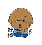 プードルMoney日記（個別スタンプ：31）