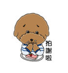 プードルMoney日記（個別スタンプ：38）