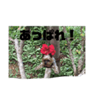 もるさんです（個別スタンプ：4）