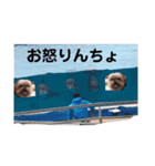 もるさんです（個別スタンプ：7）