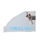 もるさんです（個別スタンプ：8）