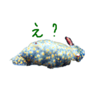 ウミウシ 言葉（個別スタンプ：10）