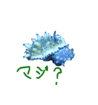 ウミウシ 言葉（個別スタンプ：12）