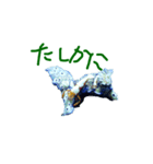ウミウシ 言葉（個別スタンプ：14）