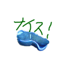 ウミウシ 言葉（個別スタンプ：15）