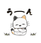 ちょっと太めな猫ちゃん(5月～梅雨)vol.1（個別スタンプ：23）