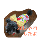 しょこぱぴ日和2（個別スタンプ：6）