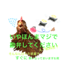 にわとりのTVとBD（個別スタンプ：4）