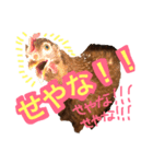 にわとりのTVとBD（個別スタンプ：7）