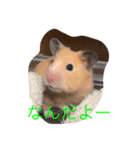 きんくまはむすたーのきなこ（個別スタンプ：7）