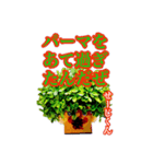 THE景樹くんスタンプ vol,01（個別スタンプ：8）
