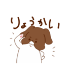 シーズーちゃんズ（個別スタンプ：4）