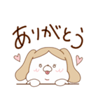 シーズーちゃんズ（個別スタンプ：6）
