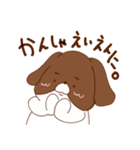 シーズーちゃんズ（個別スタンプ：8）