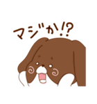 シーズーちゃんズ（個別スタンプ：9）