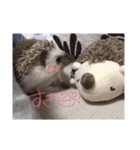 愛しのこむちゃん2（個別スタンプ：4）