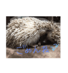 愛しのこむちゃん2（個別スタンプ：5）
