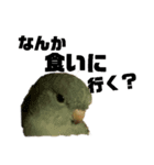 小さいインコ（個別スタンプ：5）