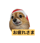 モカとガンちゃんのスタンプ（個別スタンプ：2）