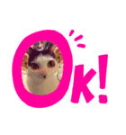 モカとガンちゃんのスタンプ（個別スタンプ：3）