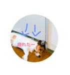 ひめたそ（個別スタンプ：1）